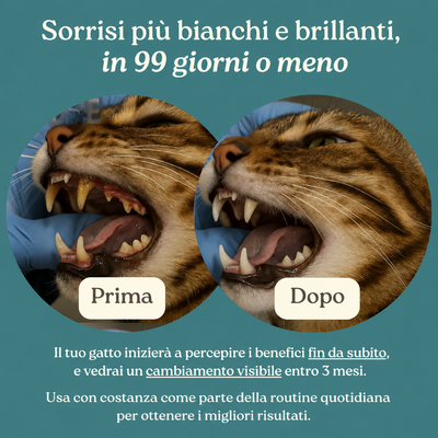 MusoFelice™ - Formulă Dentală Avansată