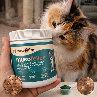 MusoFelice™ - Formulă Dentală Avansată