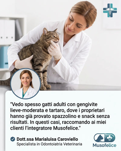 MusoFelice™ - Formulă Dentală Avansată