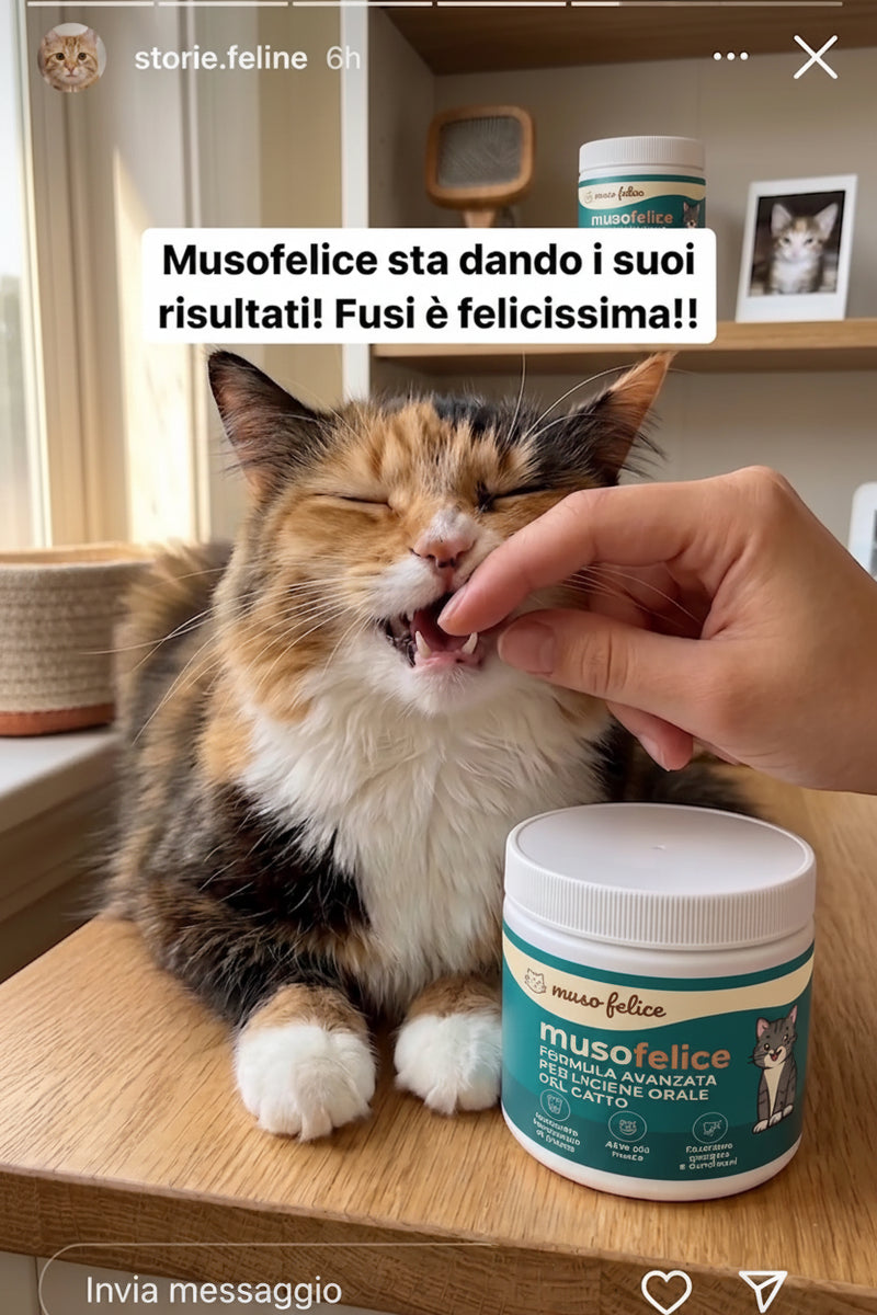 Pulberea zilnică ce ajută la reducerea plăcii dentare și a tartrului la pisica ta